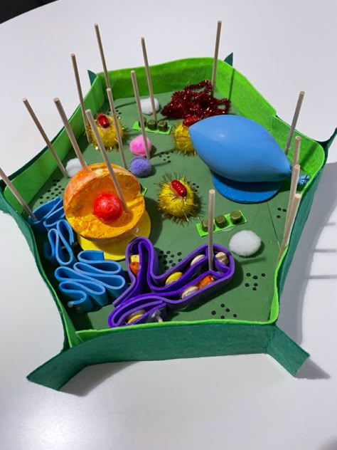 Plant Cell Shoe Box Project, Diy Cell Model, Diy Plant Cell Model, Biology Ideas Projects, 3d Plant Cell Project Ideas, Plant Cell Model Project Ideas, Cell Membrane Model Projects, Cell 3d Project, 3d Plant Cell Project