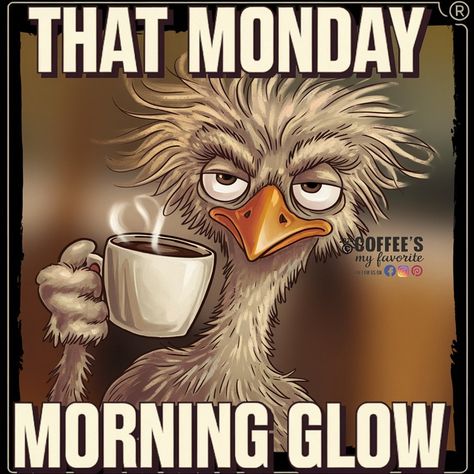 #coffeesmyfavorite #memesdaily #meme #funnymemes #funnymoments #hilariousmemes #hilarious #mondayfunnies #mondayagain Funny Morning Memes Hilarious, Coffee Memes Hilarious, Good Morning Funny Humor Hilarious, Monday Morning Funny, Monday Pics, Friday Pics, Funny Monday Memes, Work Funnies, Morning Coffee Funny