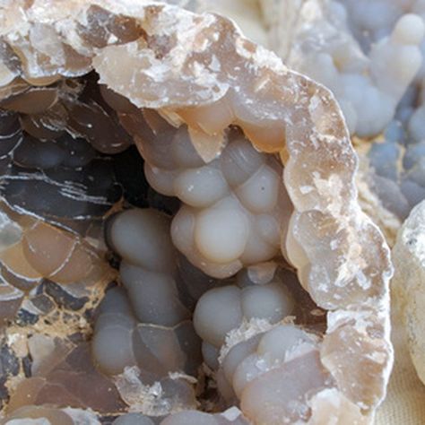 Geodes are a nifty find for rock-hunters. Geode Hunting, Gem Hunt, Rock Identification, Idaho Travel, Geode Rocks, Rocks And Fossils, Rock Hunting, Rough Gems, Gem Mining