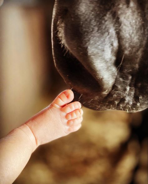 Horse And Newborn Photography, Newborn Pictures With Horses, Horse Newborn Photography, Baby Cowgirl Photoshoot, Saddle Newborn Pictures, Newborn Photography Western, Cowgirl Newborn Pictures, Horse Baby Announcement, Maternity Photo With Horse