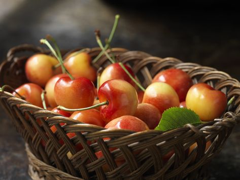 Summer Is The Season With a Fresh Cherry on Top-Here Are Our Favorite Types Cherry Bounce, Types Of Cherries, Rainier Cherries, Cherry Pitter, Bing Cherries, Cherry Season, Yogurt Flavors, Cherry Recipes, Fruit Dishes