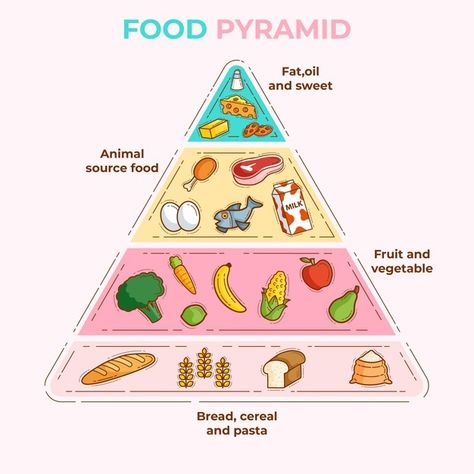 Food essentials pyramids for proper nutr... | Free Vector #Freepik #freevector #food #diet #nutrition #pyramid Food Guide Pyramid, Food Pyramid Kids, Nutrition Pyramid, Food Essentials, Healthy Food Chart, Sistem Pencernaan, Healthy Meal Plan, Easy Healthy Eating, Food Activities