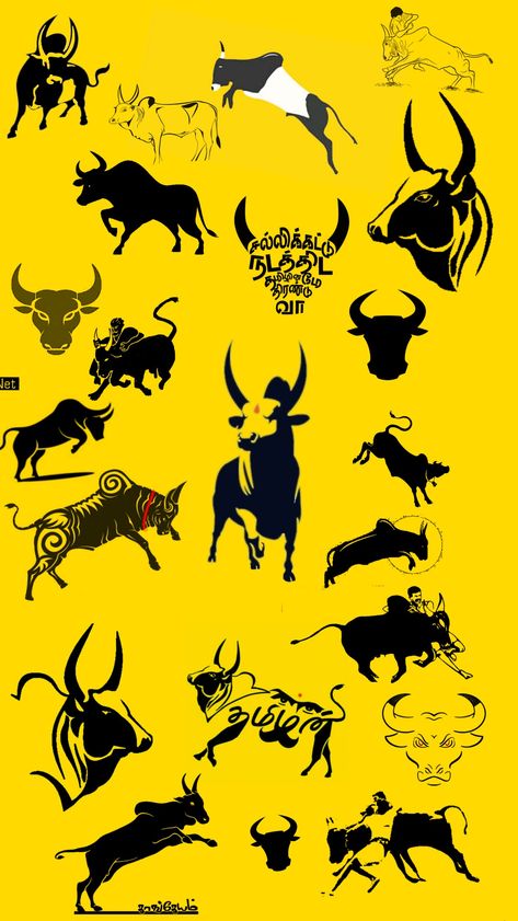 The Tamil traditional Jallikattu Photos, My Photo Gallery, Anthropology, Ox, Photo Gallery, Photo Galleries, Home Decor Decals, Black And White, History