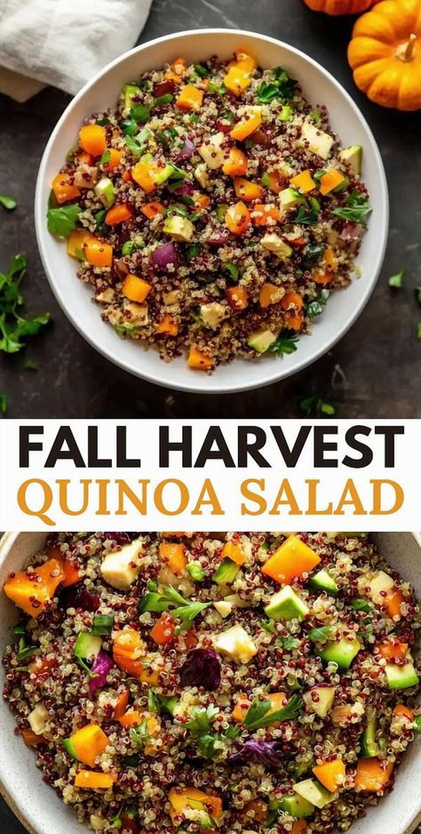 Embrace the essence of autumn with this delightful Fall Harvest Quinoa Salad. Experience the nutty goodness of quinoa mingling with roasted butternut squash and Brussels sprouts, complemented by the crispness of apples and the satisfying crunch of pumpkin seeds. A maple-cinnamon dressing weaves these flavors into a sweet and savory symphony, perfect for any autumn gathering. Autumn Quinoa Bowl, Butternut Squash Orzo Salad With Candied Bacon, Autumn Kale Apple And Quinoa Salad, Thanksgiving Quinoa Recipes, Quinoa Fall Recipes, Butternut Squash And Brussel Sprouts Salad, Brussels Sprout Quinoa Salad, Brussels Sprouts Quinoa, Fall Harvest Roasted Butternut Squash And Pomegranate Salad