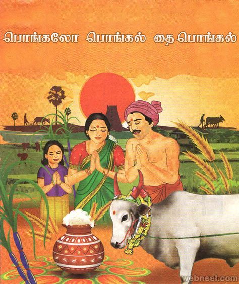 pongal greetings Happy Pongal In Tamil, Tamil Pongal, Pongal Festival Images, Hindu Aesthetics, Pongal Greetings, Tamil Village, Pongal Greeting Cards, Sankranthi Wishes, Sankranthi Festival