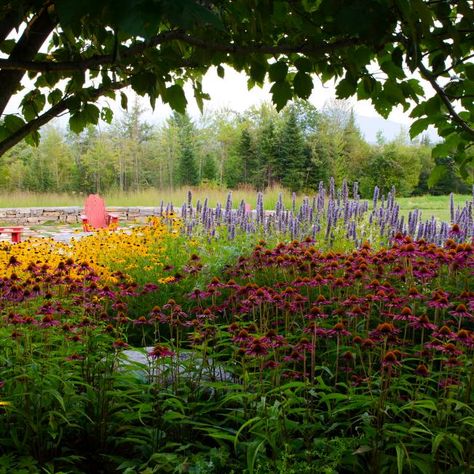 Colorado Style Landscaping, Colorado Plants, Colorado Landscaping, Colorado Gardening, Mountain Garden, Client Board, Garden Butterfly, Hgtv Shows, Colorado Landscape