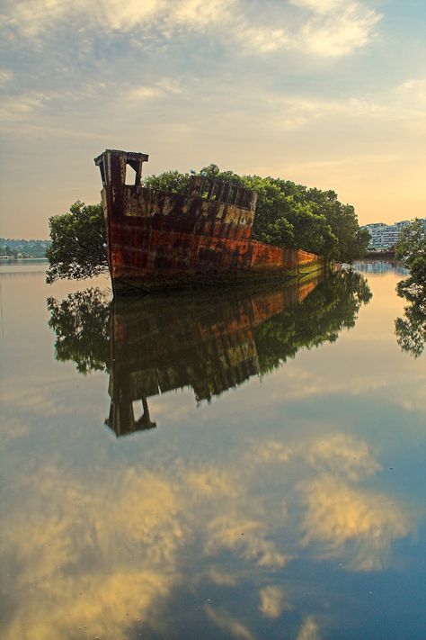 Ship Wreck, Beauty Pics, Abandoned Ships, Around The World In 80 Days, Reflecting Light, Tree Artwork, Gods Creation, Landscape Pictures, Shipwreck