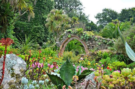 Old Abbey in Tresco Abbey Gardens Tresco Abbey Gardens, Lux Life, Isles Of Scilly, Island Hopping, Propagating Plants, Private Garden, British Isles, Food Festival, Holiday Destinations