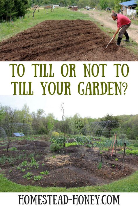 Should you till your garden or rely on no-till methods? I share my experience with both techniques. How To Till Garden, Tilling A New Garden, No Till Garden Layout, No Till Gardening, Garden Prep, Suburban Homestead, Colonial Garden, Lawn Alternatives, Hollow Earth