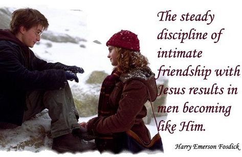 Discipline Quotes For Friends by @quotesgram Soul Bonding, Fanfiction Net, Film Harry Potter, Harry Hermione, Wingardium Leviosa, Harry And Ginny, Harry And Hermione, Harry Draco, Potter Head