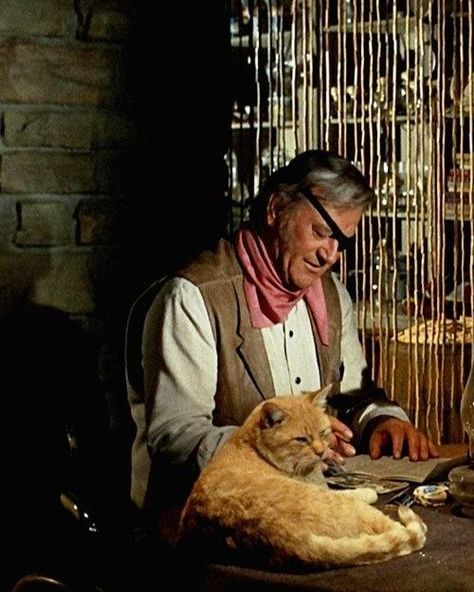 Wayne fans - Happy International Cat Day! John Wayne as Rooster Cogburn with his feline costar in True Grit (1969). | Facebook Celebrities With Cats, Men With Cats, John Wayne Movies, International Cat Day, True Grit, Orange Cats, Cat People, John Wayne, Western Movies