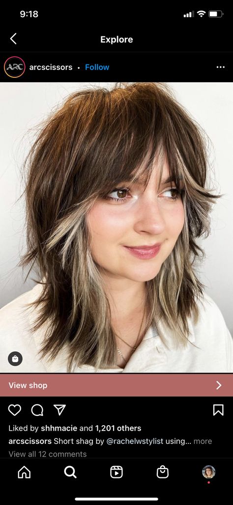 Peek A Boo Bangs Color, Emo Blonde Highlights, Shag With Money Piece Bangs, Brown Hair Money Piece Bangs, Moneypiece Hair With Bangs, Peekaboo Shag Hair, Diffused Color Blocking Hair, Money Piece Shag, Color Block Shag Hair