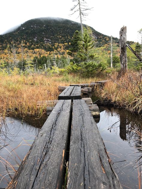 White Mountains New Hampshire, Franconia Notch, White Mountains, Animal Crossing Ideas, Travel Bug, Travel Bugs, Nature Travel, Wonderful World, New Hampshire