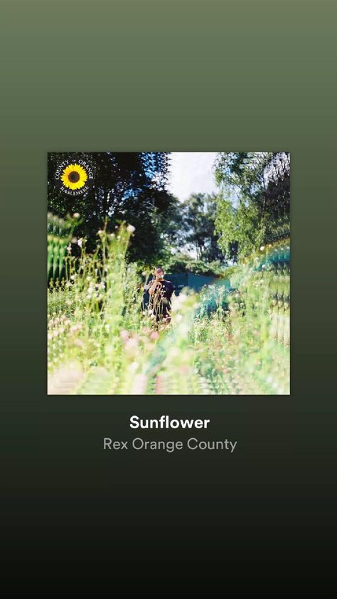 Sunflower Rex Orange County, Rex Orange County, Rex Orange, Orange Sunflowers, Fav Music, Orange County, Sunflower, Orange, Music