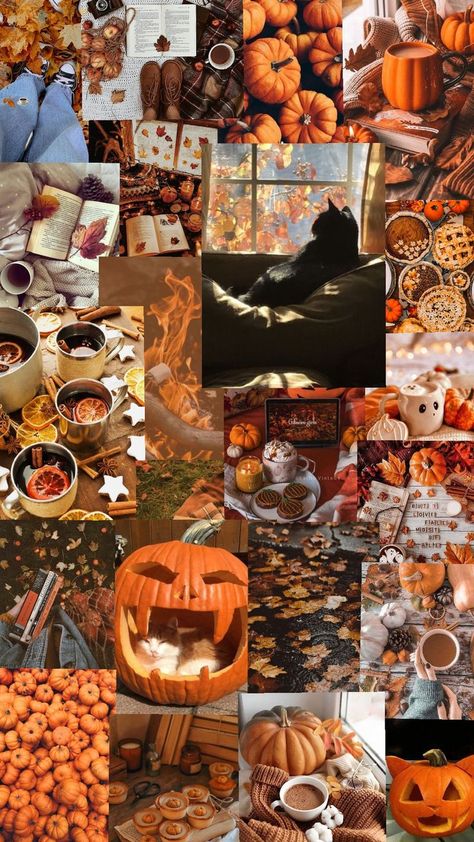 🤎🍁🦉🍄‍🟫🍂🥧🎃 Fall Autumn