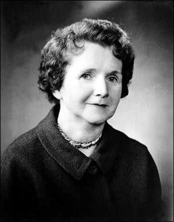 Chatham University, River Town, Rachel Carson, Environmental Movement, Scientific Articles, Standing Rock, Marine Biologist, Johns Hopkins University, Feature Article