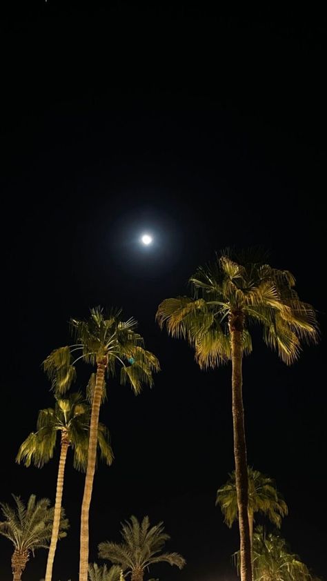 Fake Palm Tree, Ski Pictures, Birthday Post Instagram, Selfie Photography, Moon Pictures, Deep House, Night Aesthetic, Beach Aesthetic, Insta Photo Ideas