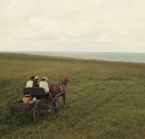 Anne With An E Aesthetic, E Aesthetic, Anne With An E, Anne Of Green, Anne Of Green Gables, Green Gables, The Ocean, Green