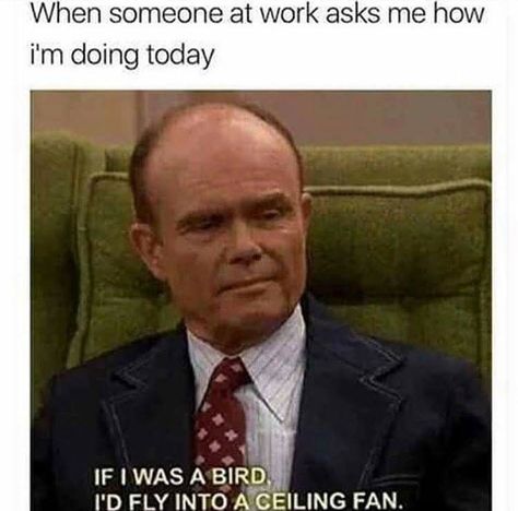 Haha Red Foreman When someone at work asks me how I'm doing today. If I was a bird is fly into a ceiling fan If I Was A, Seriously Funny, Clean Humor, Fresh Memes, Night Shift, Work Memes, Memes Humor, Funny Animal Memes, Work Humor