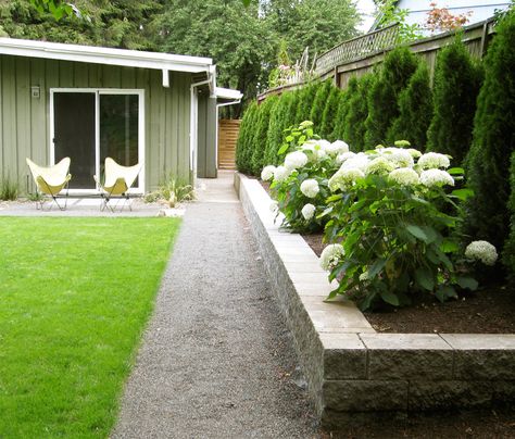 Third Nature Studio | Hydrangeas in raised bed, Midcentury Ranch Front Yard Veggie Garden, Outdoor Living Space Diy, Midcentury Garden, Stone Raised Beds, Beach Landscaping, Midcentury Ranch, Seattle Garden, Landscaping Along Fence, Landscape Ideas Front Yard Curb Appeal