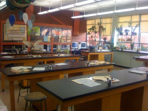 science lab Bakery Inspiration, Science Room, Classroom Pictures, Teacher Aesthetic, Classroom Style, Biology Classroom, Classroom Layout, Twilight Series, High School Classroom