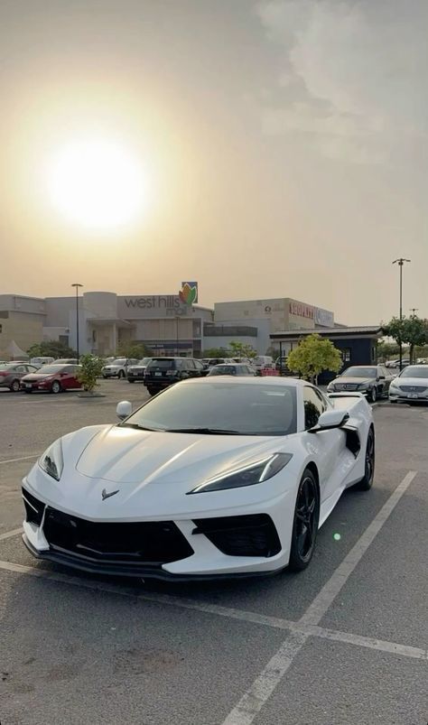 Corvette Aesthetic, 2024 Corvette, C8 Corvette 2020, Posh Cars, White Corvette, Corvette Car, C8 Corvette, C7 Corvette, Serie Bmw