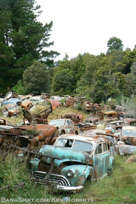 Junkyard Cars, Wrecking Yards, Barn Pictures, T Bucket, Rusty Cars, Mysterious Places, Road Rage, Abandoned Cars, Family Car