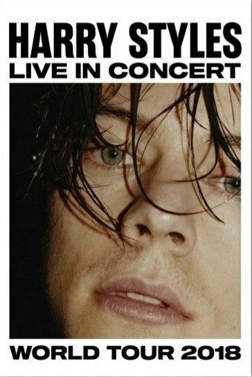 𝙃𝙖𝙧𝙧𝙮 𝙎𝙩𝙮𝙡𝙚𝙨❤︎ Harry Styles 2018 Tour, Harry Styles 2018, Concert Poster Design, Modern Canvas Painting, Harry Styles Hot, Tour Music, Harry Styles Poster, Wall Art Decor Prints, Harry Styles Concert