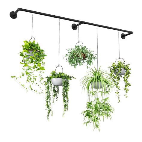 PRICES MAY VARY. 【Extension Plant Hangers】Extended design, 73" length can accommodate large windows or large indoor&outdoor walls to hang more plants. 【Durable Material and Robust Connection】Take sturdy metal material threaded joints for connection to ensure the sturdiness and durability. 【All Hardware Included】This metal plant hanger comes with all mounting hardware and detailed instructions . You can customize it for wall-mounted or ceiling.If you have any questions about the installation we a Indoor Plants Decor Small Space, Wire Plant Wall, Hanging Plants In The Kitchen, Interior Hanging Plants, Kitchen With Hanging Plants, Plants Above Headboard, Curtain Rod Hanging Plants, Plants On Curtain Rod, Hanging Plant Wall Indoor