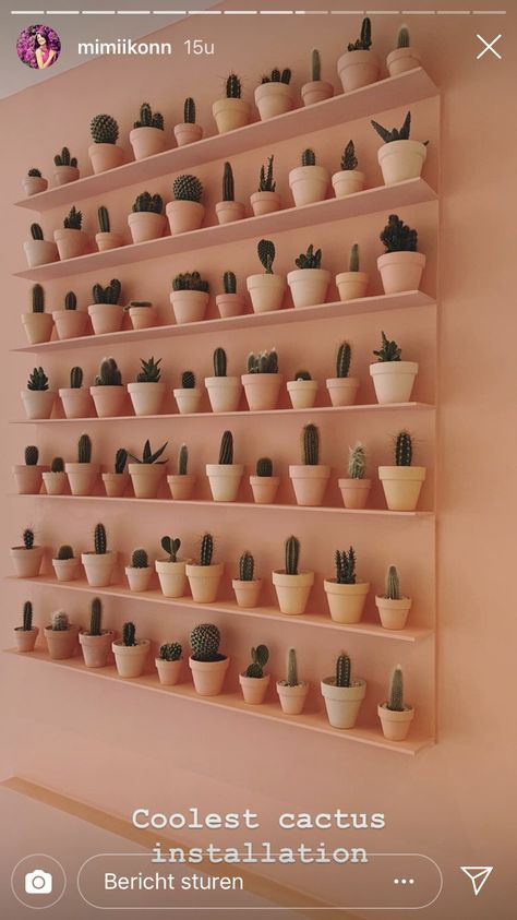 Succulent Stand Display, Cactus Shelves, Plant Merchandising, Cactus Restaurant, Flower Shop Interiors, Cactus House Plants, Flower Shop Decor, Tuscan Style Homes, Teacup Gardens