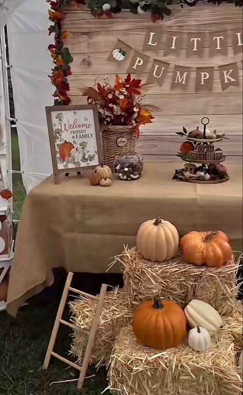 Pumpkin Gender Reveal Table Decorations, Fall Harvest Baby Shower Ideas, Fall Baby Shower Table Decor, Pumpkin Patch Baby Shower Ideas, Little Pumpkin Baby Shower Ideas, Pumpkin Decorating Party, Pumpkin Patch Birthday Party, Fall Baby Shower Decor, Lil Pumpkin Baby Shower