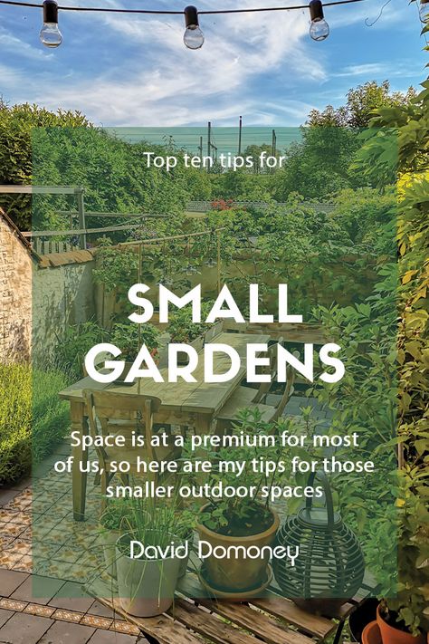 Top 10 tips for small garden design to transform your space Small Garden Landscape Ideas Backyards, Small Garden With Parking Space, Garden Design For Small Spaces, Ideas For Small Gardens Landscape Design, Small Garden No Grass Ideas, Narrow Garden Layout, Tiny Gardens Design, Small City Garden Ideas, City Garden Design