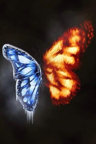 Fire and Ice butterfly Fire And Ice Wallpaper, Ice Tattoo, Fire N Ice, Flame Art, Fire Art, Wow Art, Fire And Ice, Butterfly Art, Art Anime