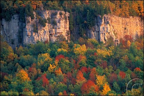 Niagara Escarpment near Milton Ontario Milton Ontario, Travel Bucket List, Ontario, Travel Dreams, Places Ive Been, Real Estate, Mural, Travel