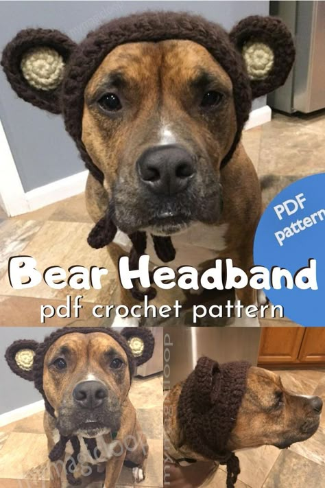 Dog Bear Hat Crochet Pattern, Crochet Dog Bear Hat, Crochet Dinosaur Hat For Dog, Crochet Patterns Dog Hat, Crochet Dog Headband Free Pattern, Crochet Dog Ears Headband, Crochet Pattern For Dog Hat, Bear Headband Crochet, Dog Snoods Crochet Pattern