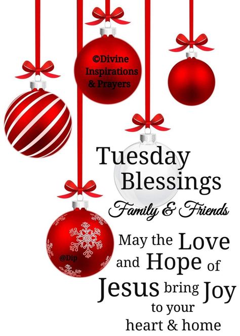 Tuesday Blessings! Tuesday Christmas Blessings, December 3 Blessings, Tuesdays Blessings, Tuesday Blessings Mornings, Merry Christmas Greetings Quotes, Good Morning Tuesday Blessings, Tuesday Christmas, Afternoon Greetings, Week Blessings