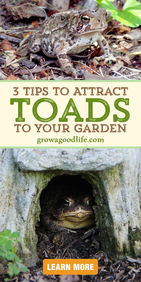 Backyard Habitat Ideas, Frog Houses For The Garden, Copper In The Garden, Toad Houses For The Garden, Toad Houses Diy How To Make, Diy Toad House, Frog Homes In Garden, Toad Habitat Gardens, Toad Abode Diy