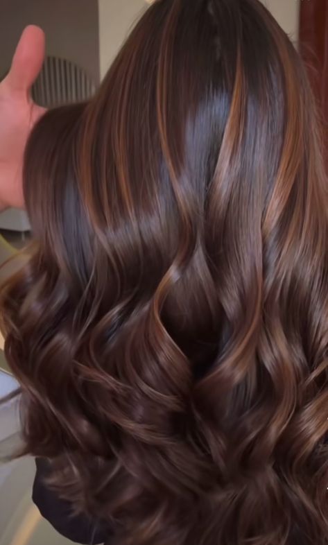 Chocolate Hair Caramel Highlights, Warm Brown Hair Highlights, Fall Hair Dye Ideas For Brunettes, Caramel Hair Dark, Auburn Brown Hair With Highlights, Cinnamon Brown Balayage, Indian Hair Colour, Warm Brown Hair With Highlights, Fall Haircolor