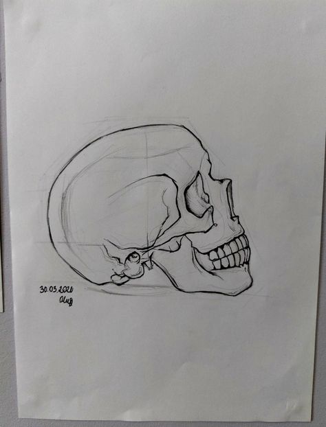 Human Skull Side Profile, Skull Drawing Simple Side View, Skull Art Side View, Skull From The Side Drawing, Skull Sketch Simple How To Draw, Skeleton Side Profile Drawing, Sideways Skull Drawing, Side Profile Skull Tattoo, Side Profile Of Skull