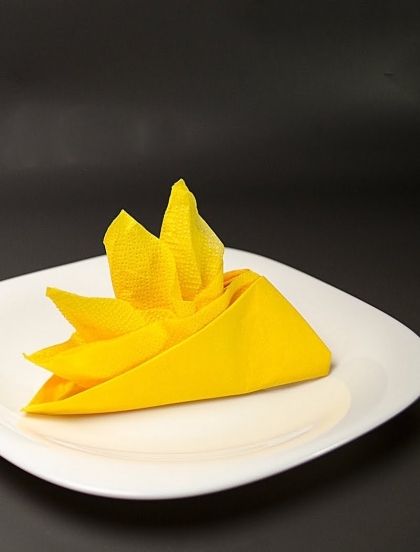 pliage de serviettes en papier facile en oiseau de paradis magnifique Lotus, Origami, Napkins, Paper Crafts, Tableware