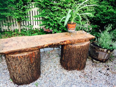 Tree Stump Tables Outdoor, Stump Stools Outdoor, Diy Log Table Tree Stumps, Tree Trunk Seats Wood Stumps, Tree Stump Chair Ideas, Log Stools Tree Stumps Outdoor Seating, Tree Stump Address Sign, Tree Stump Bench Ideas, Cedar Stump Ideas