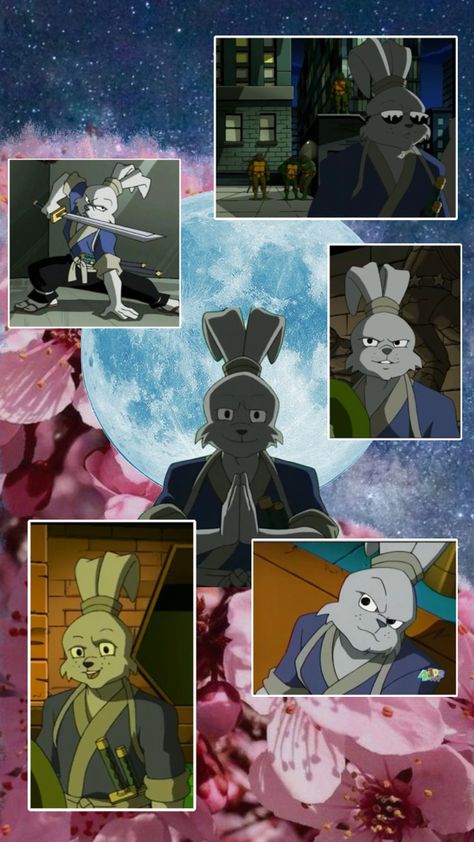 Usagi! #usagi #tv #tmnt #tmnt2003 #usagiyojimbo Tmnt 2003 Wallpaper, Leosagi 2003, Tmnt 03, Usagi Miyamoto, Samurai Rabbit Usagi, Usagi Tmnt, Miyamoto Usagi, Usagi Chronicles, Tmnt 2003