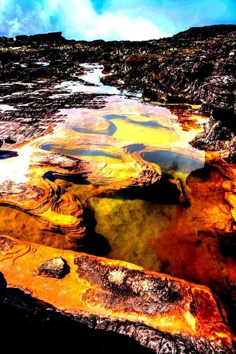 Parque Nacional Canaima: Jacuzzis en la cima del Roraima. Venezuela Giant Anaconda, Architecture Texture, Mount Roraima, Under The Water, Secret Place, Secret Places, Wild Life, Scenic Landscape, Amazing Places