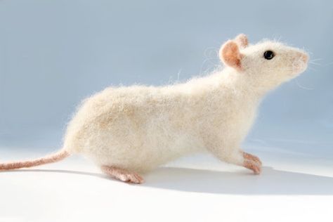 Rat Plushies, Felt Rat, Rat Pet, Needle Felted Rat, Mouse Needle Felting, Needle Felt Hamster, Felt Sculpture, Needle Felted Sleeping Mouse, Pet Rat