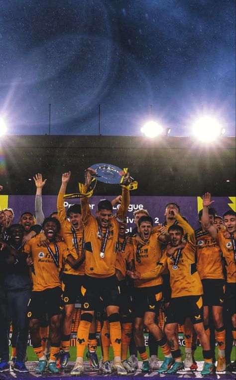 Wolves Football, Wolverhampton Wanderers Fc, Wolverhampton Wanderers, Wolverhampton, Chelsea Fc, Wolves, Chelsea, Football, Memes