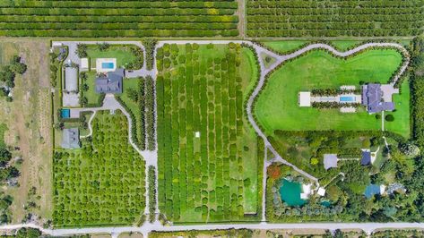 20-acre Miami estate with lagoon, car hanger, and avocado fields for $11M - Curbed Miami Farm Stead, Homestead Garden Layout, Castle Dark, Homestead Layout, Off Grid Homestead, Land Design, Log Houses, Family Compound, Acre Homestead