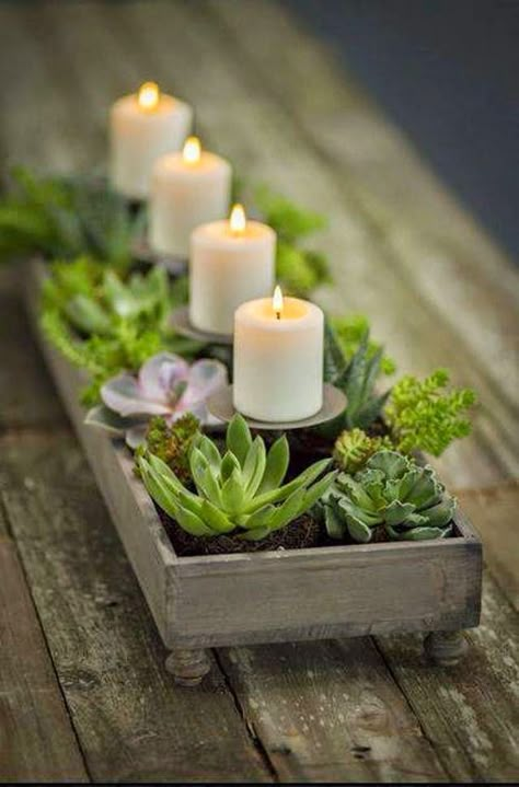 Succulents ~ CP with candle holders and succulents contained in an old wooden box. Candle Decorations, Candle Centerpiece, نباتات منزلية, Deco Nature, Water Gardens, Simply White, Nordic Christmas, Meditation Space, Summer Gifts