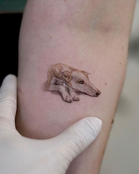 Whippet Tattoo Ideas, Lurcher Tattoo, Greyhound Tattoo Ideas, Italian Greyhound Tattoo, Whippet Tattoo, Greyhound Tattoo, Dinosaur Tattoos, Single Needle Tattoo, London Tattoo