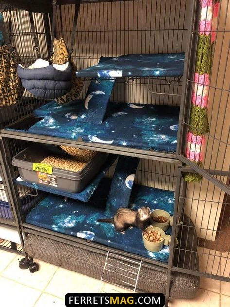 Ferret Nation Cage Liners Diy, Ferret Cage Liners Diy, Ferret House Ideas, Ferret Nation Cage Ideas, Ferret Cage Ideas Diy, Ferret Setup, Ferret Room Ideas, Diy Ferret Stuff, Ferret Cage Ideas