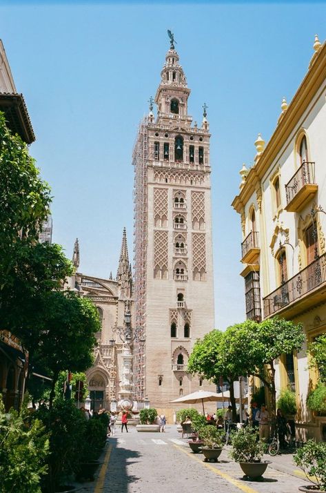 Seville Photography, Spain Places To Visit, Sevilla Spain, Best Rooftop Bars, South Of Spain, Seville Spain, Instagrammable Places, Famous Landmarks, Explore Travel